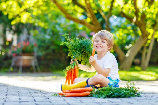 Ragazzino divertente con carote nel giardino domestico — Foto Stock