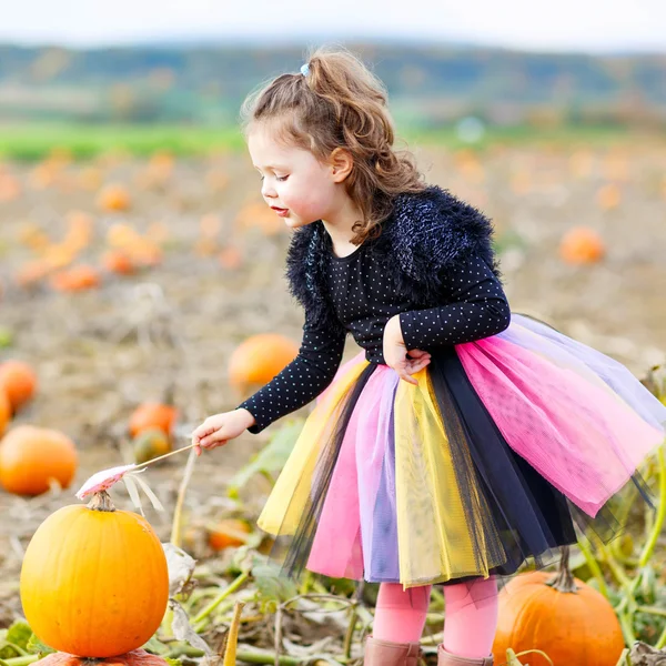 Маленькая девочка в костюме ведьмы на тыквенной грядке — стоковое фото