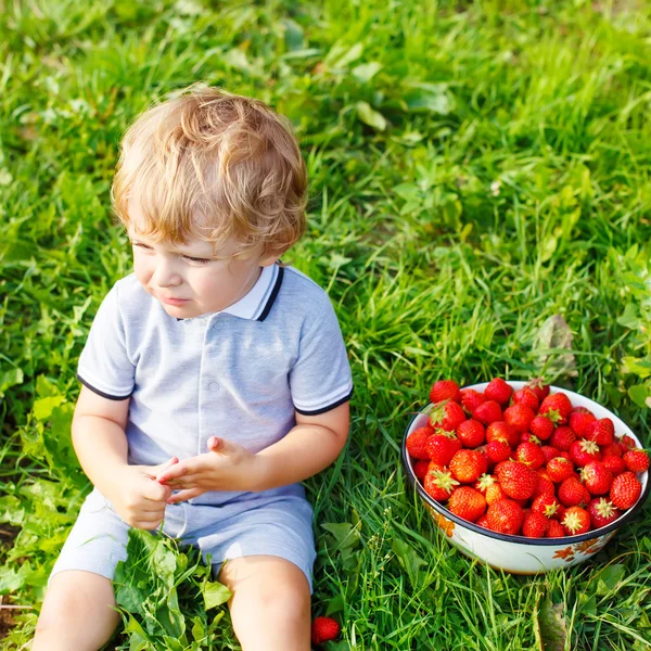 Liten unge pojke plocka jordgubbar på gården, utomhus. — Stockfoto