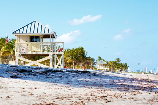 Hermosa Crandon Park Beach ubicada en Key Biscayne en Miami . —  Fotos de Stock