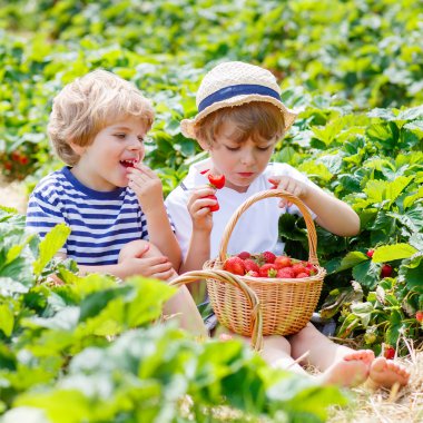 Yazın çilek çiftliğinde iki küçük kardeş.