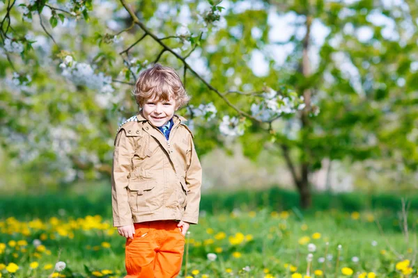 Unge pojken i vårträdgård med blommande äppelträd — Stockfoto
