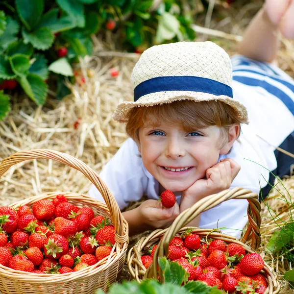 Little kid boy picking strawberries on farm, outdoors. — Stock Photo, Image