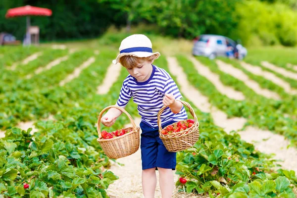 Μικρό παιδί αγόρι picking φράουλες σε αγρόκτημα, σε εξωτερικούς χώρους. — Φωτογραφία Αρχείου