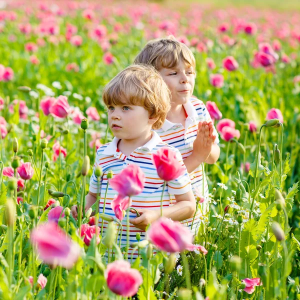 Dwa małe dziecko chłopców w dziedzinie kwitnący Mak — Zdjęcie stockowe