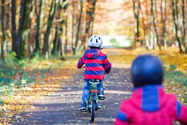 Dois meninos pequenos pedalando com bicicletas no parque de outono — Fotografia de Stock