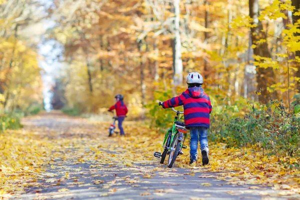 Twee kid beetje jongens met fietsen in de herfst bos — Stockfoto