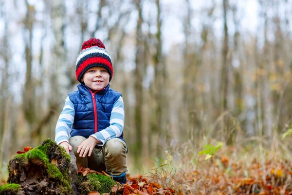 Aranyos kisfiú ősszel levelek háttér parkban. — Stock Fotó