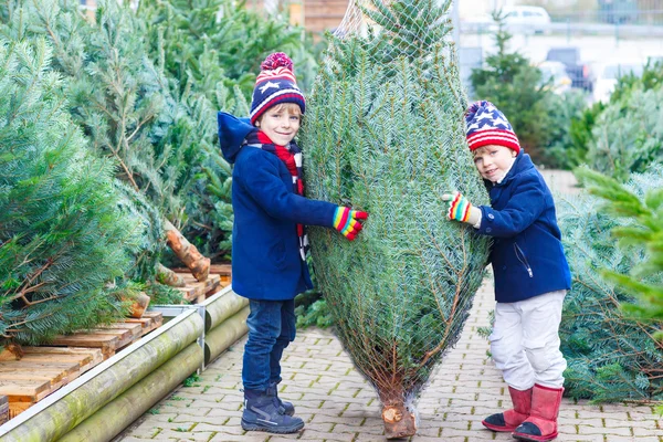 Dos niños pequeños comprando árbol de Navidad en la tienda al aire libre —  Fotos de Stock