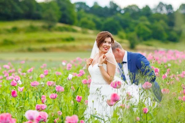 Happy wedding couple in pink poppy field — Stock Photo, Image