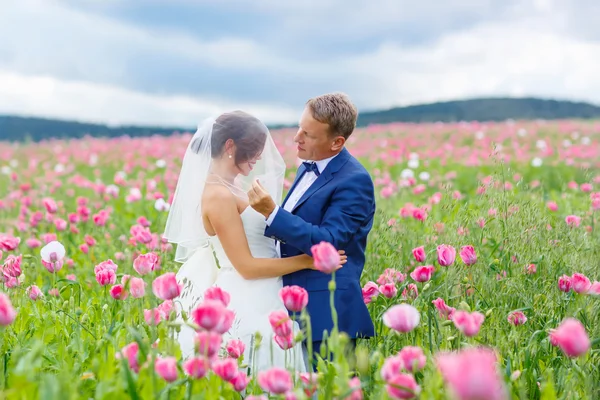 Glückliches Hochzeitspaar im rosa Mohnfeld — Stockfoto