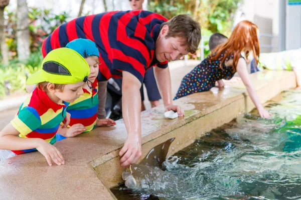 Teacher and two little kid boys feeding rays in a recreation are — Stock Photo, Image