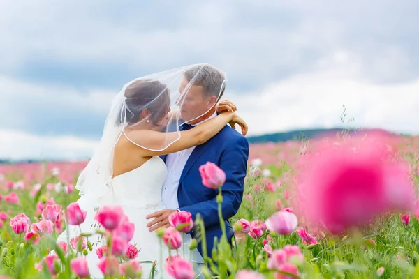 幸福新婚夫妇在粉红色的罂粟领域 — 图库照片