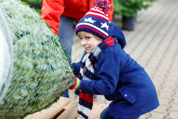 Beautiful smiling little boy holding christmas tree — Stock Photo, Image