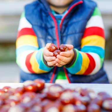 kestane sonbahar Park ile oynayan küçük sarışın çocuk.