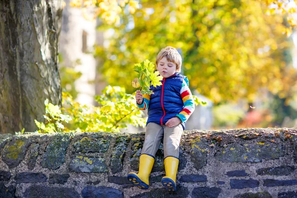 Pequeño niño rubio jugando con hojas amarillas en el parque de otoño . —  Fotos de Stock