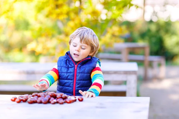 Little blond kid playing with chestnuts in autumn park. — Stock Photo, Image