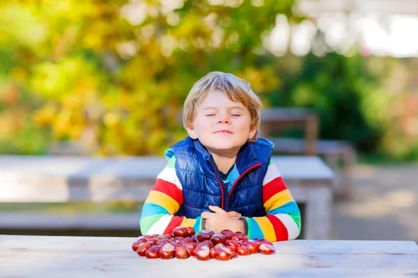 kestane sonbahar Park ile oynayan küçük sarışın çocuk.
