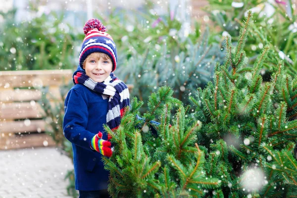 Hermoso niño sonriente sosteniendo el árbol de Navidad —  Fotos de Stock