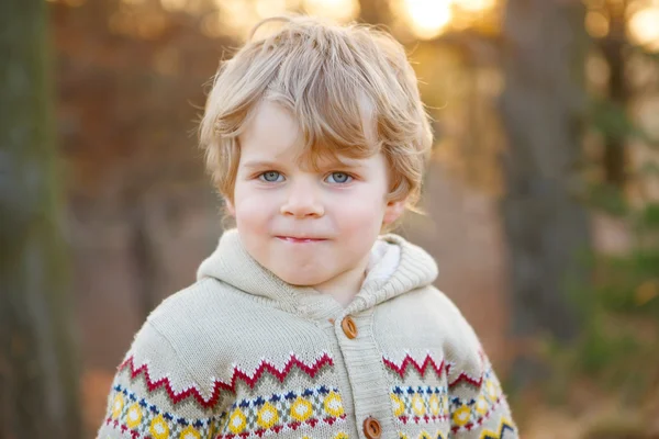 Porträtt av vacker liten pojke på 2, utomhus — Stockfoto