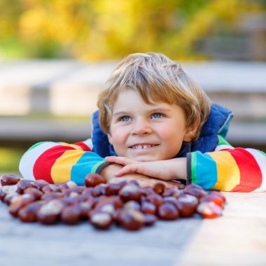 kestane sonbahar Park ile oynayan küçük sarışın çocuk.