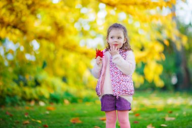 Küçük çocuk kız güzel sonbahar Park
