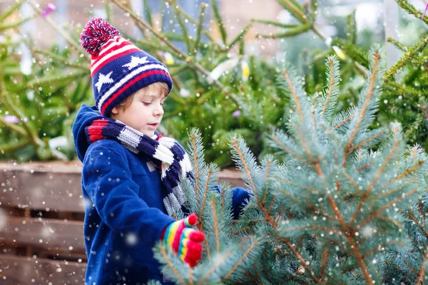 Beau petit garçon souriant tenant arbre de Noël — Photo