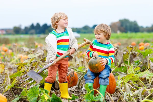 Two little kids boys with big pumpkins on patch — Stock Photo, Image