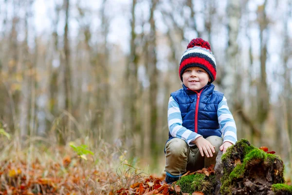 Cute little kid boy on autumn leaves background in park. — Stock Photo, Image