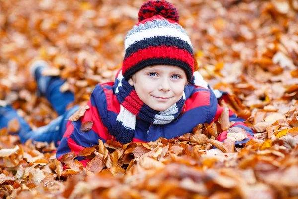 Cute little kid boy on autumn leaves background in park. — Stock Photo, Image