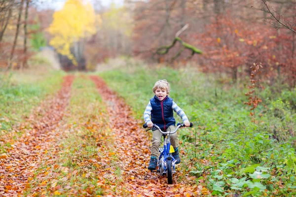 Mały chłopiec dziecko z rowerem w lesie jesienią — Zdjęcie stockowe