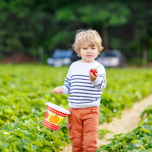 Mały chłopiec dziecko zbieranie truskawek na farmie, na zewnątrz. — Zdjęcie stockowe