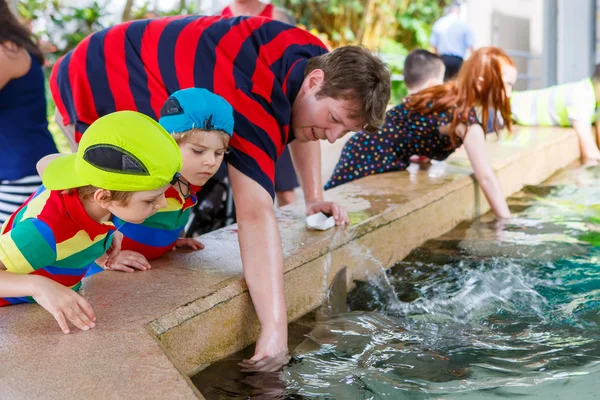 Father and two little kid boys feeding rays in a recreation area — Stock Photo, Image