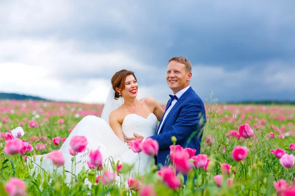 幸福新婚夫妇在粉红色的罂粟领域 — 图库照片