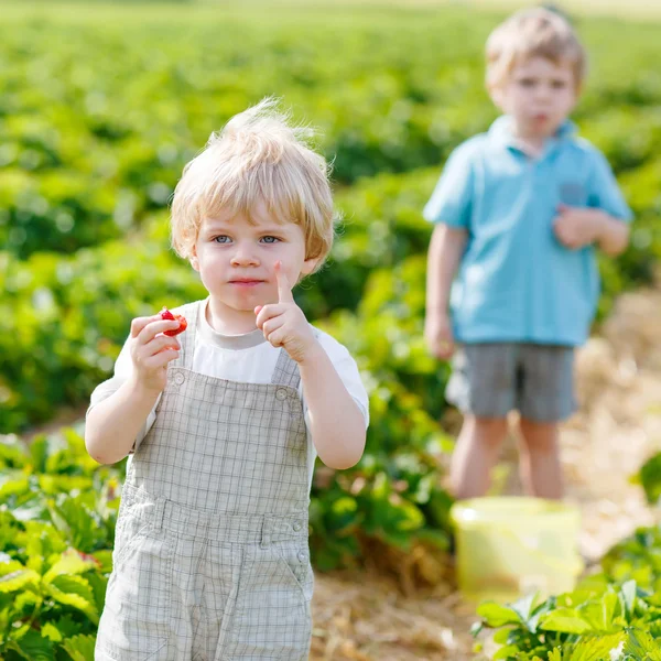 Dva malí kluci sourozence batole na jahodový farmě v létě — Stock fotografie