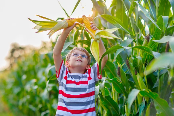 Мальчик со сладкой кукурузой на открытом воздухе — стоковое фото