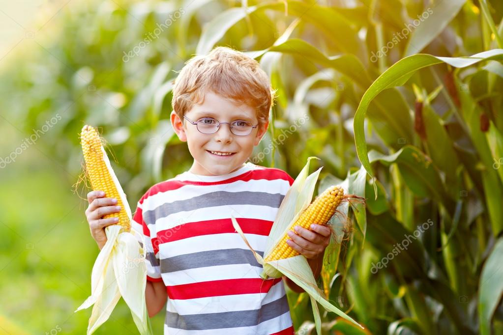 Kid boy with sweet corn on field outdoors Stock Photo by ©romrodinka