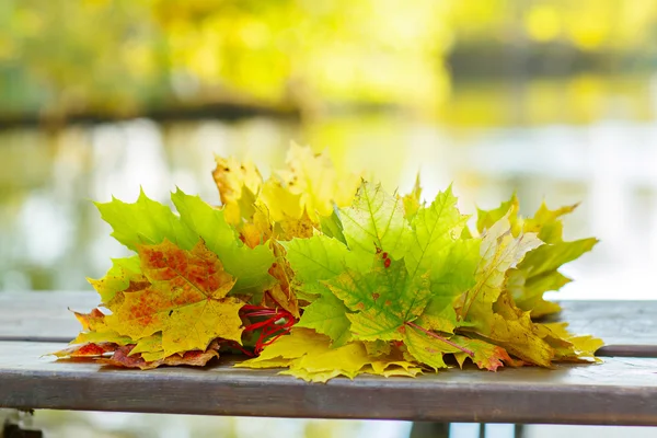 A colorful wreath of autumn leaves of maple. — Stock Photo, Image