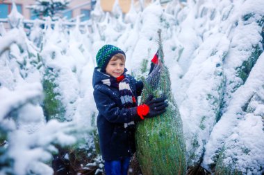 Gülen çocuk elinde Noel ağacı tutuyor. Kışın giyinmiş mutlu çocuk, karlı kış gününde kostüm dükkanında Noel ağacı seçiyor ve satın alıyor. Aile, gelenek, kutlama.
