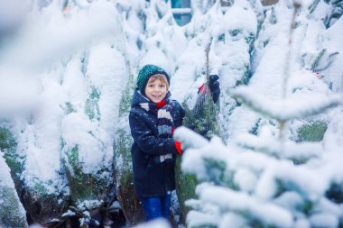 Gülen çocuk elinde Noel ağacı tutuyor. Kışın giyinmiş mutlu çocuk, karlı kış gününde kostüm dükkanında Noel ağacı seçiyor ve satın alıyor. Aile, gelenek, kutlama.