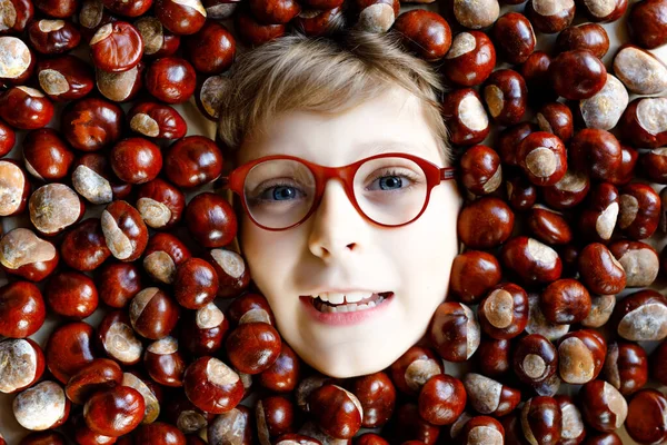 Retrato divertido de preadolescente o niño de la escuela con gafas con un montón de castañas. Sonriente niño feliz divirtiéndose en el día de otoño con un proyecto escolar. —  Fotos de Stock