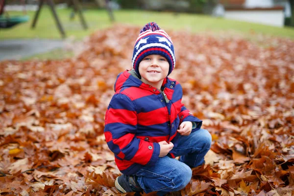 Söt liten pojke på hösten lämnar bakgrund i parken. — Stockfoto