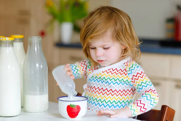 Schattig peutermeisje dat koemelk drinkt als ontbijt. Schattige kleine dochter met veel flessen. Gezond kind dat melk als gezondheidscalciumbron heeft. Kind thuis of in de kinderkamer in de ochtend. — Stockfoto