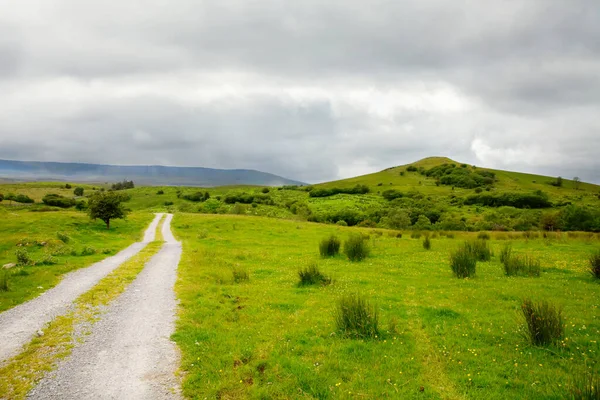 Irlanda paisaje. Colinas mágicas irlandesas. Isla verde con ovejas y vacas en día nublado de niebla. Irlanda del Norte, Condado de Donegal — Foto de Stock