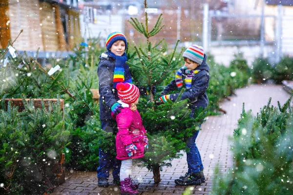 Drie kleine broertjes en zusjes: peutermeisje en twee jongetjes die een kerstboom op de markt houden. Gelukkige kinderen in de winter kleding kiezen en kopen boom in outdoor shop. Familie, traditie, feest — Stockfoto
