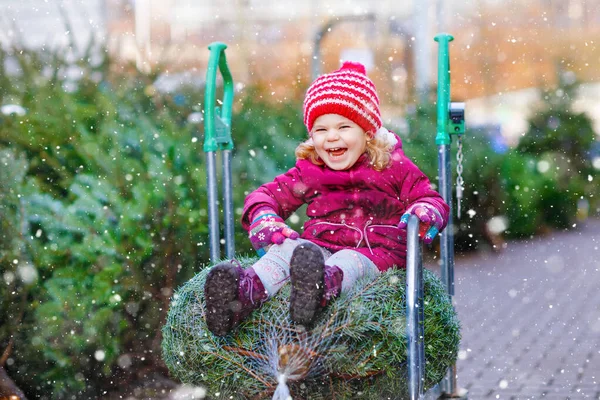 Adorable little toddler girl with Christmas tree on shopping cart or trolley on market. Happy healthy baby child in winter fashion clothes choosing and buying big Xmas tree in outdoor shop. — Stock Photo, Image
