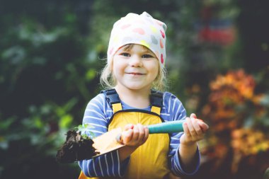 Elinde yeşil bitkiler filizlenen bahçe küreğini tutan sevimli küçük kız. Sevimli çocuk bahçeciliği, ekmeyi ve sebze yetiştirmeyi evcil bahçede öğreniyor. Ekoloji, organik gıda.