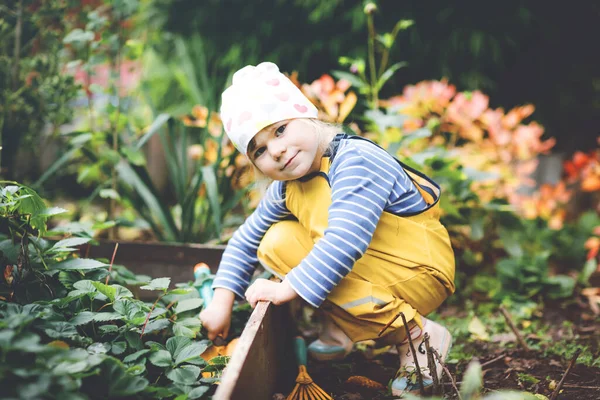 Adorable little toddler girl working with shovel in domestic garden. Cute child learn gardening, planting and cultivating vegetables in domestic garden. Kid with garden tools. Ecology, organic food. — Stock Photo, Image