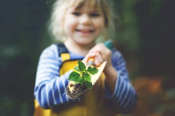 Adorable little toddler girl holding garden shovel with green plants seedling in hands. Cute child learn gardening, planting and cultivating vegetables in domestic garden. Ecology, organic food. — Stock Photo, Image