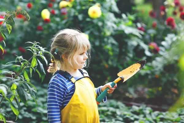 Urocza dziewczynka pracująca z łopatą w ogrodzie. Cute dziecko uczyć się ogrodnictwa, sadzenia i uprawy warzyw w ogrodzie domowym. Dzieciak z narzędziami ogrodowymi. Ekologia, żywność ekologiczna. — Zdjęcie stockowe